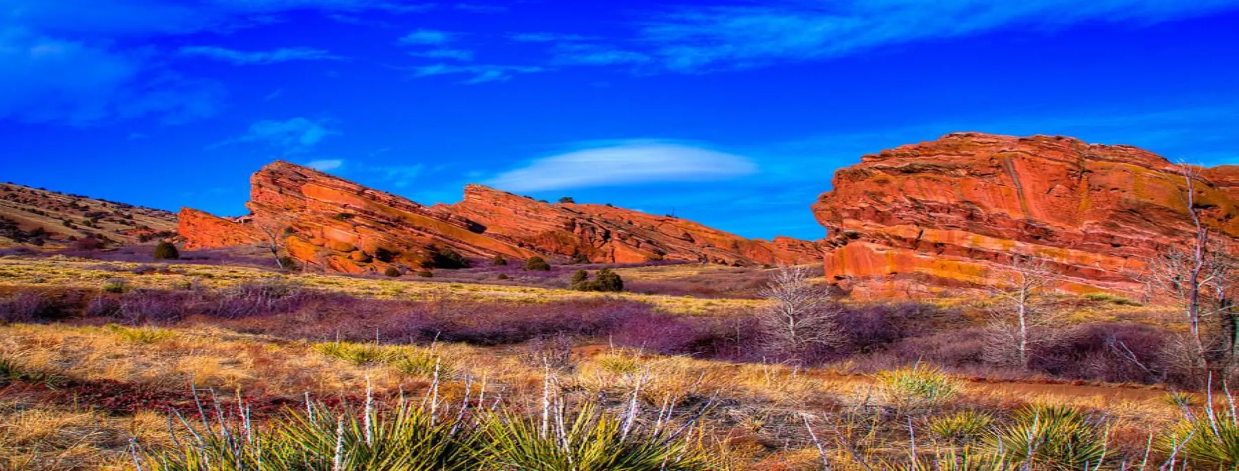 Image for Garden of the Gods